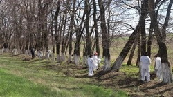 Большой субботник прошёл в Белгородском районе