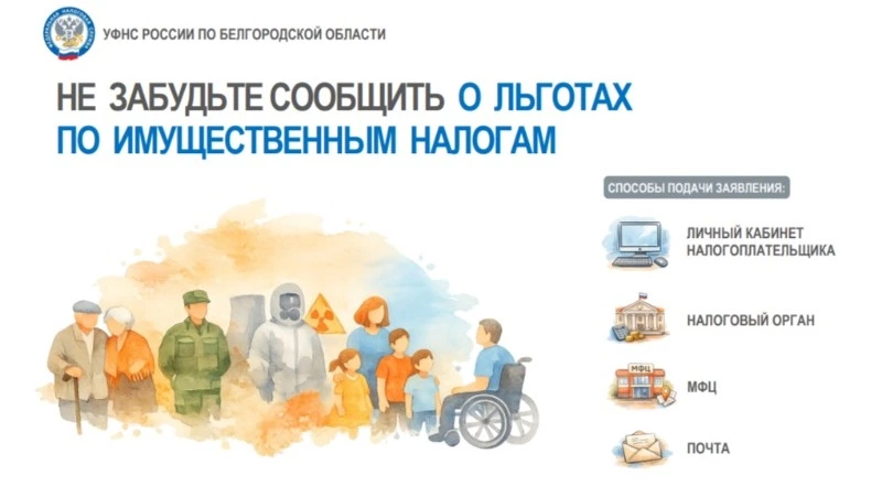 ФНС разъяснила белгородцам порядок получения льгот по имущественным налогам