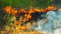 Власти объявили об открытии пожароопасного сезона в Белгородской области