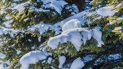 Небольшие осадки в виде снега придут в Белгородскую области 4 февраля