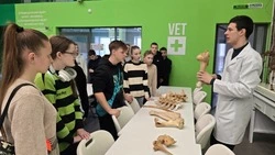 Школьники Белгородского района посетили Корочанский сельскохозяйственный техникум