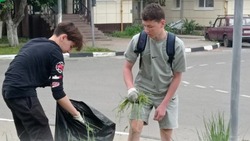 Подростки Белгородского района смогут трудоустроиться на время летних каникул