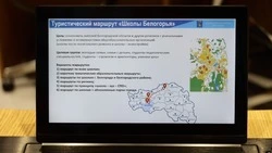 Губернатор Вячеслав Гладков рассмотрел проект «Школы Белогорья» 