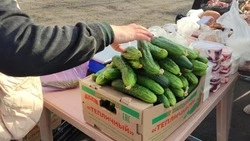 Традиционные ярмарки прошли в Белгородском районе