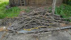 Белгородцы смогут бесплатно избавиться от растительных остатков и древесных обрезков