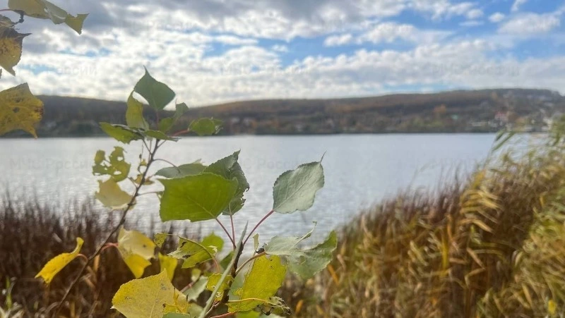 Туман и дожди ожидаются в Белгородской области в четверг