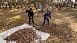 Более 100 учащихся Белгородского района вступили в отряды эковолонтёров