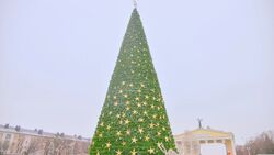 Открытие главной ёлки Белгорода пройдёт 22 декабря