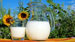 Фальсифицированное молоко может попасть на столы белгородцев