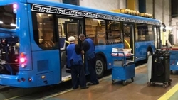58 новых автобусов поступили в Белгородскую агломерацию