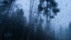 Дожди придут на территорию Белгородской области 12 марта