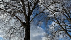 До 16 градусов мороза ожидается в Белгородской области 23 февраля
