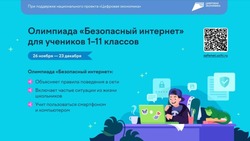 Школьники Белгородской области смогут принять участие в онлайн-олимпиаде «Безопасный интернет»