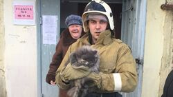 Сотрудники белгородского МЧС спасли кота в Томаровке
