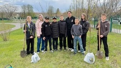 Ученики Майской гимназии приняли участие в акции «Сад Памяти»
