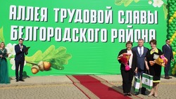 Торжественное открытие Аллеи Трудовой Славы состоялось в Белгородском районе