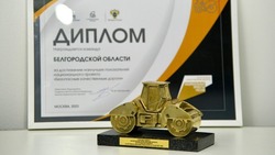 Вячеслав Гладков рассказал о получении областью награды «Золотой каток»
