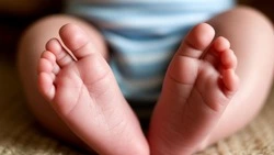 385 работающих белгородских отцов оформили пособие по уходу за ребёнком до 1,5 лет