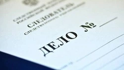 Шесть лет тюрьмы грозит жительнице Нового Оскола за мошенничество