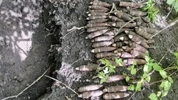 61 боеприпас времен Великой Отечественной войны нашли в Белгородском округе