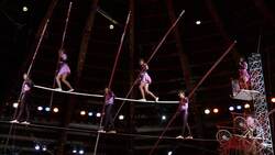 Гимнастка упала во время представления в цирке в Белгороде