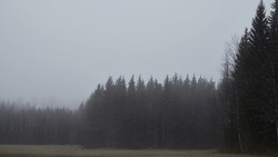 Туман накроет Белгородскую область 6 марта