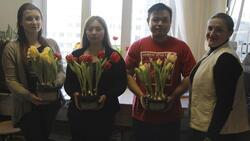 Тюльпаны зацвели в Белгородском государственном университете