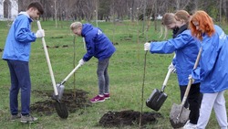 100 добровольцев присоединились к акции «Сад памяти» в Белгороде