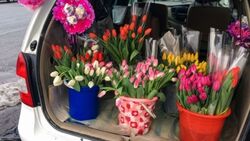 Житель Белгородского района обворовал цветочный магазин
