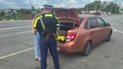 Госавтоинспекторы проводят мероприятия по профилактике БДД