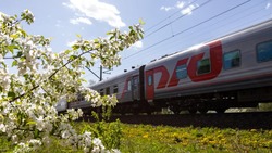 Первый в новом сезоне прямой поезд из Белгорода в Адлер отправится сегодня