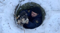 Белгородские спасатели спасли провалившегося в люк щенка