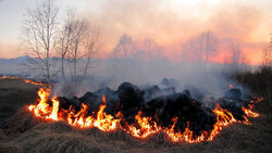 Пожарные спасли жительницу Белгородского района из огня