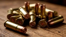 Житель Краснояружского района понесёт наказание за хранение оружия и боеприпасов