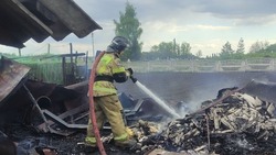 Белгородские огнеборцы ликвидировали 33 пожара на территории региона за минувшую неделю