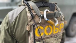 Члены организованной преступной группы задержаны при силовой поддержке СОБР «Белогор» 