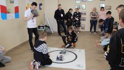 Фестиваль технического творчества «Техноимпульс-22» прошёл в Белгородском районе
