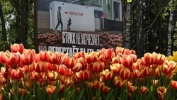 Выставка «Город, который живёт и становится сильнее» открылась в парке Победы Белгорода
