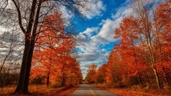 Облачная погода ожидается в Белгородской области 23 ноября