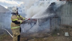 Белгородские огнеборцы 37 раз выезжали на ликвидацию пожаров за минувшую неделю