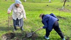Акция «Сад памяти» прошла в Разуменской СОШ №1 Белгородского района