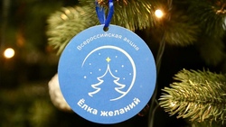 Белгородцы смогут присоединиться к новогодней благотворительной акции