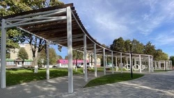 Жители Белгородской области предлагают общественные территории для благоустройства в 2027 году