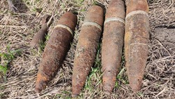 Белгородские взрывотехники ликвидировали 35 боеприпасов времён Великой Отечественной войны