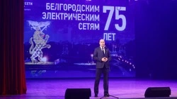 Белгородские электрические сети отметили 75-летие