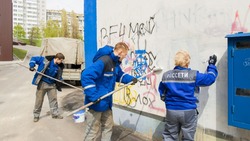 Белгородэнерго зафиксировало 350 фактов вандализма на энергообъектах в Белгородской области
