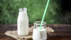 Молочная продукция будет располагаться в магазине по новым правилам