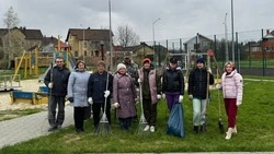 Всероссийский субботник прошёл в Белгородском округе