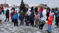 Новогодние концерты прошли в поселениях Белгородского района