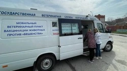 Материал